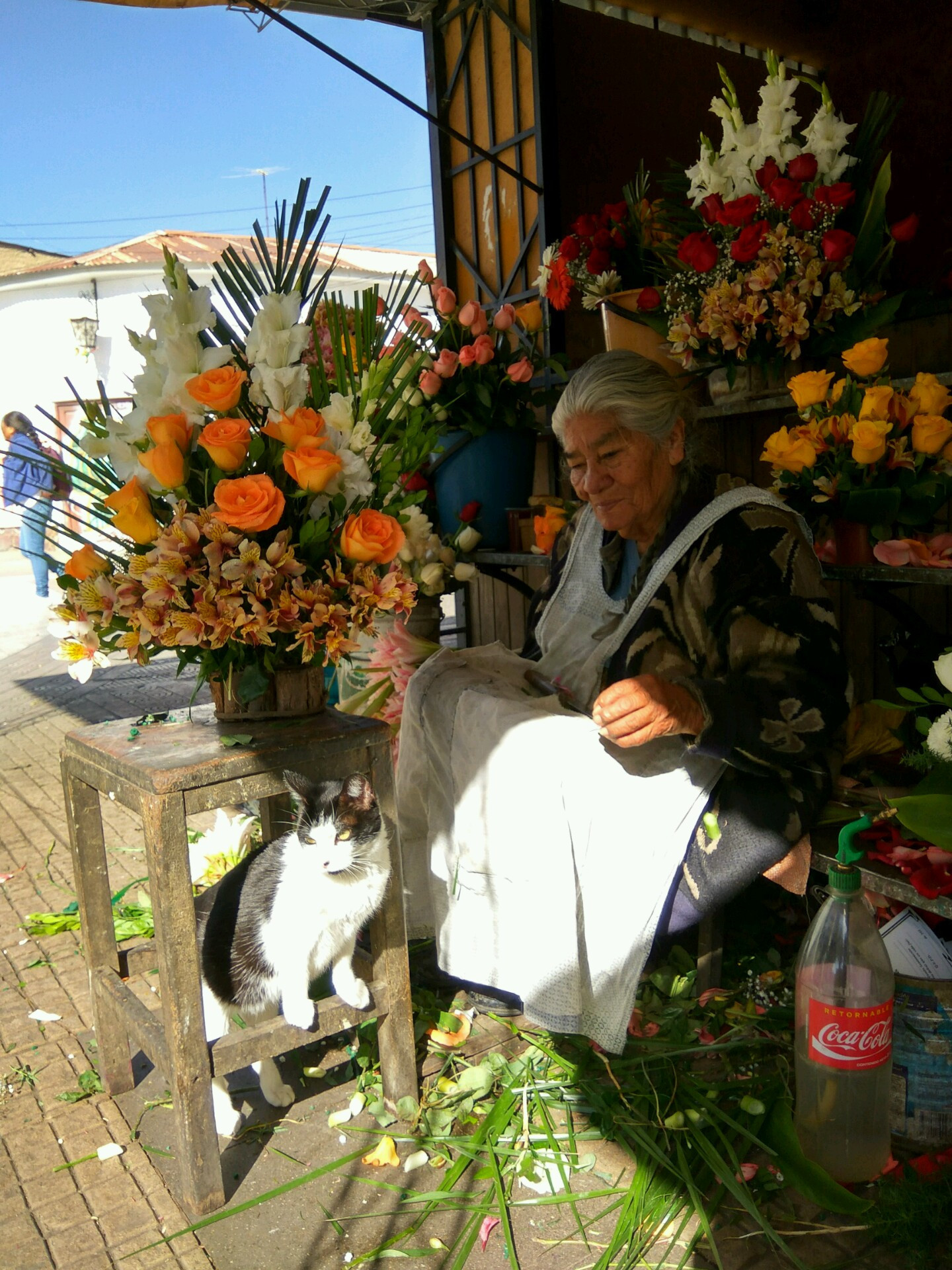 Florist-lady (Cochabamba, Bolivia)