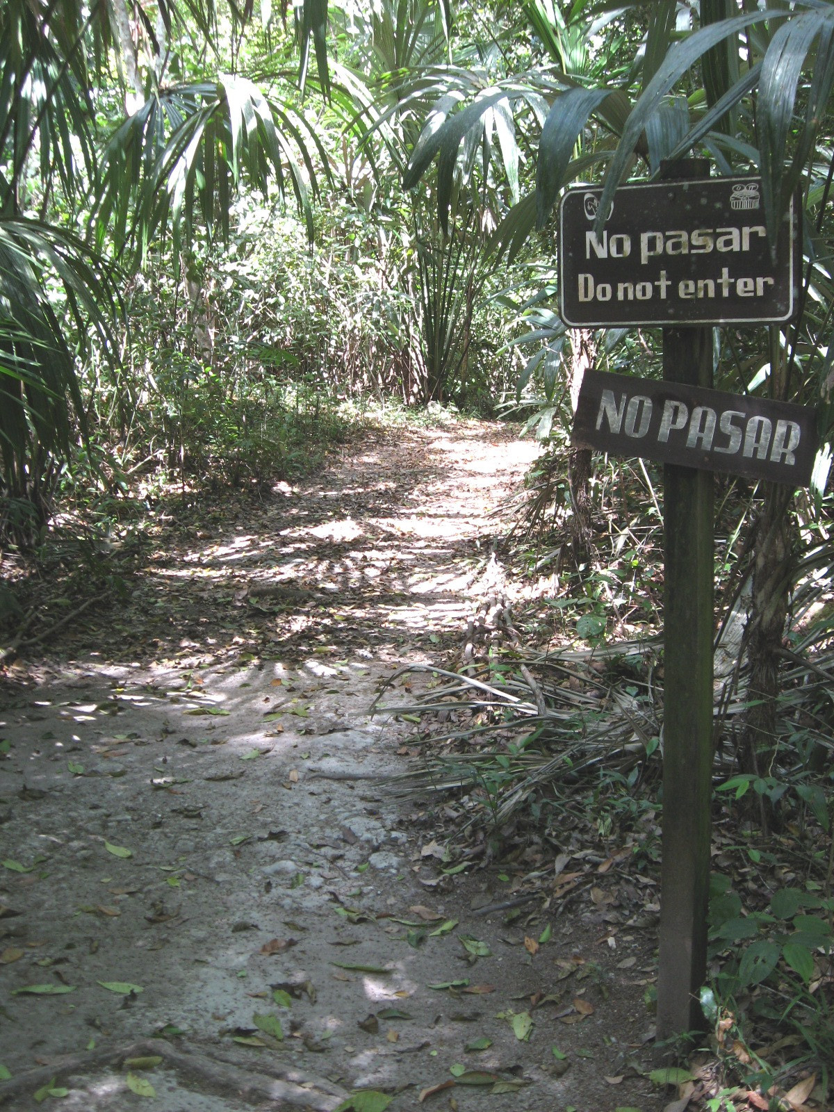 Tikal, Guatemala