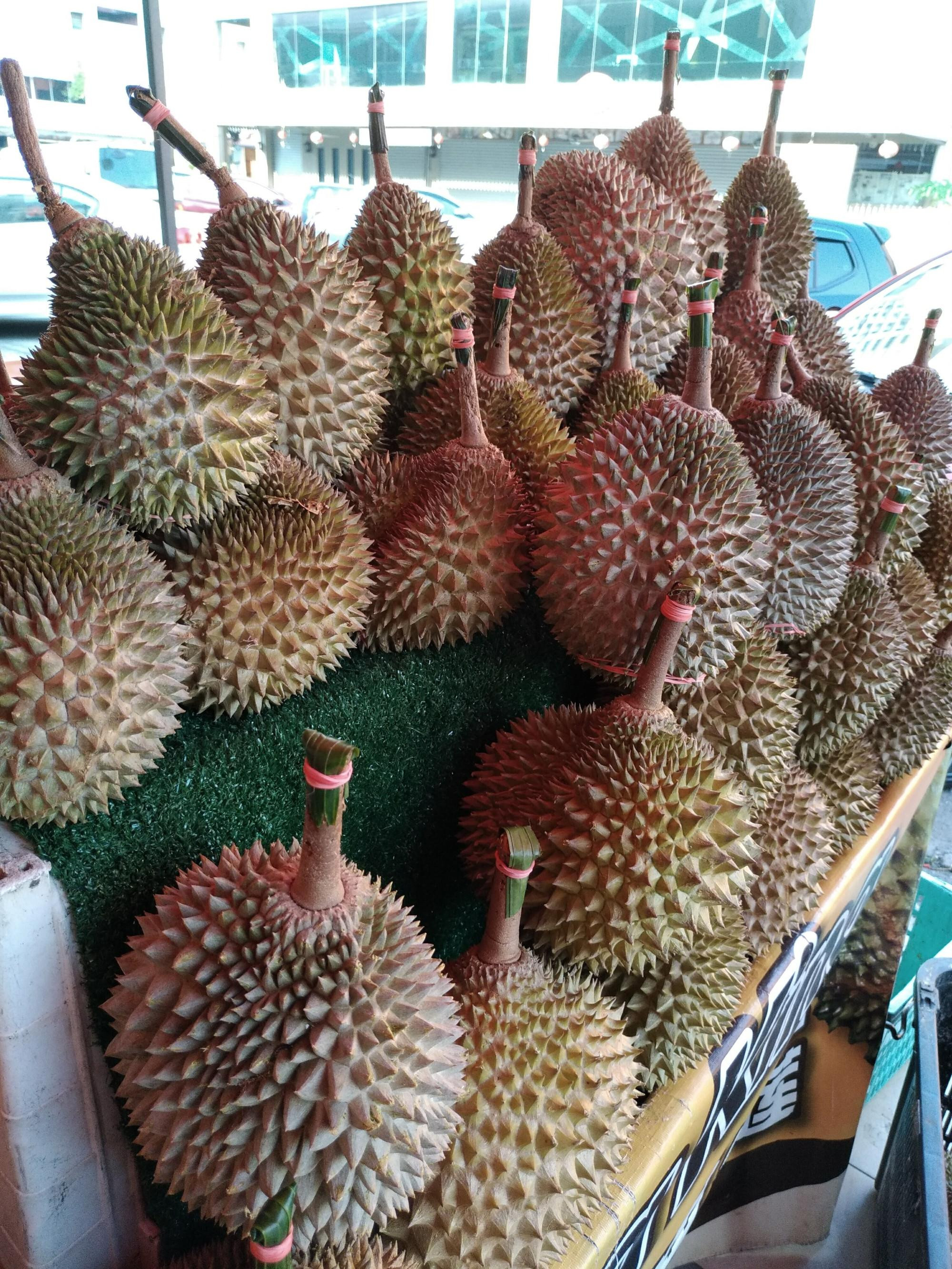 Durian (Malacca, Malaysia)