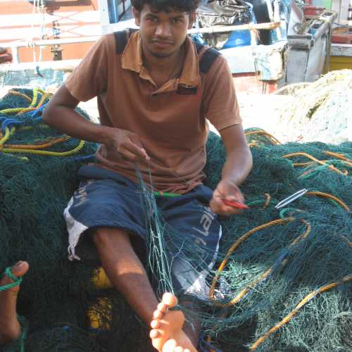 Mirissa Fishing Harbour (Sri Lanka) 2009