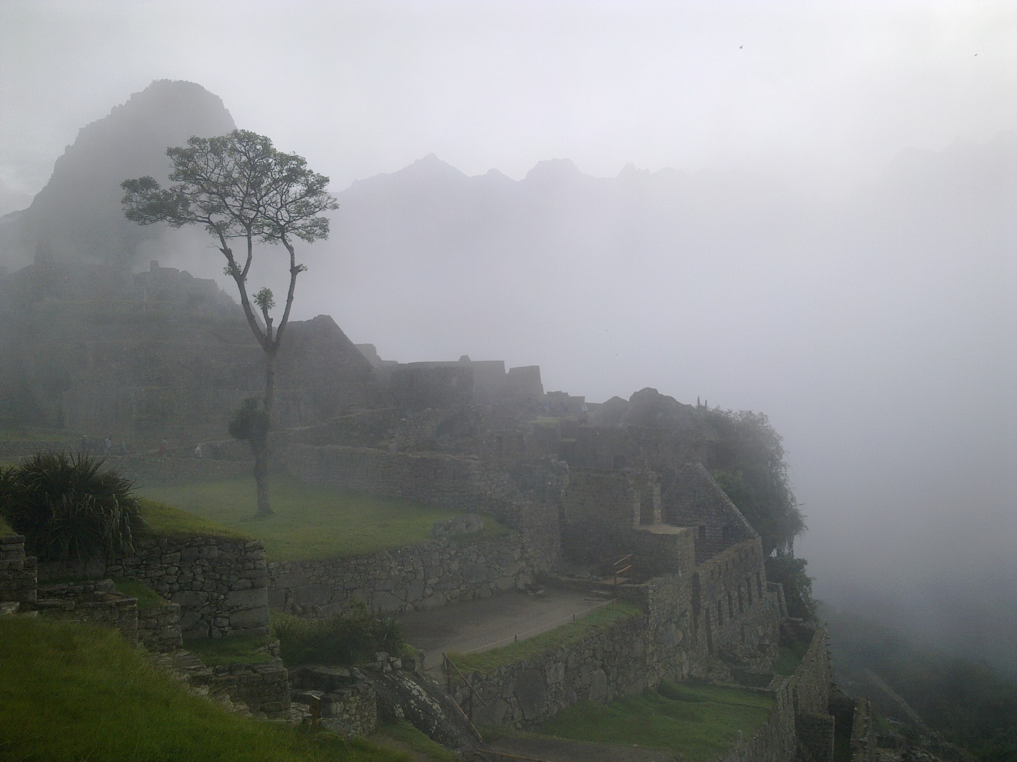 Machu Picchu in fog (Peru)
