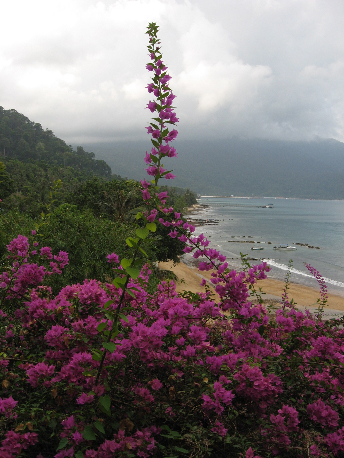 Tioman Island, Malaysia