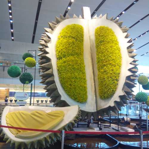 Durian instalation (Changi Airport, Singapore)