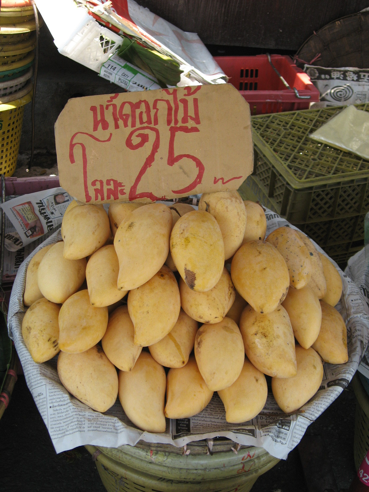 Mango (Chiang Mai, Thailand)