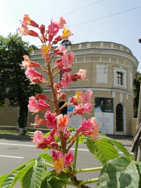 Kyiv, Ukraine