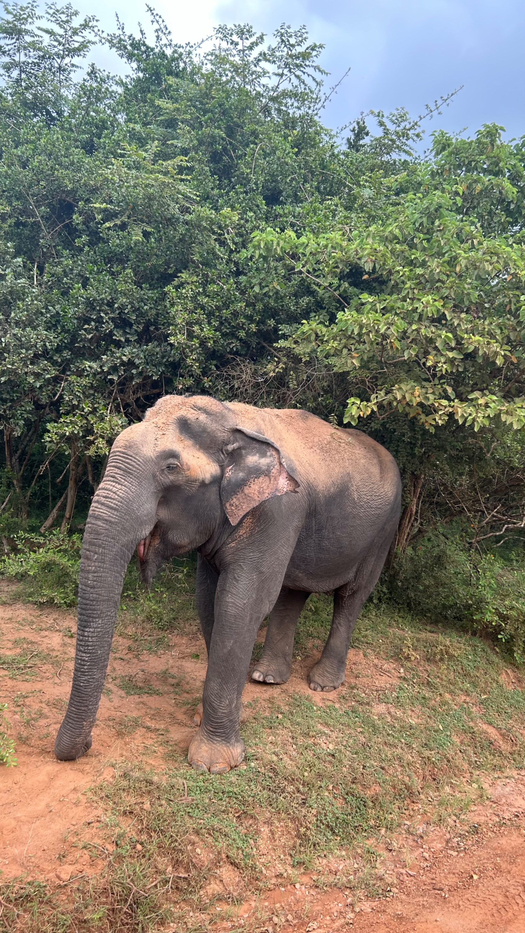 Sri Lanka