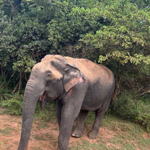 Sri Lanka