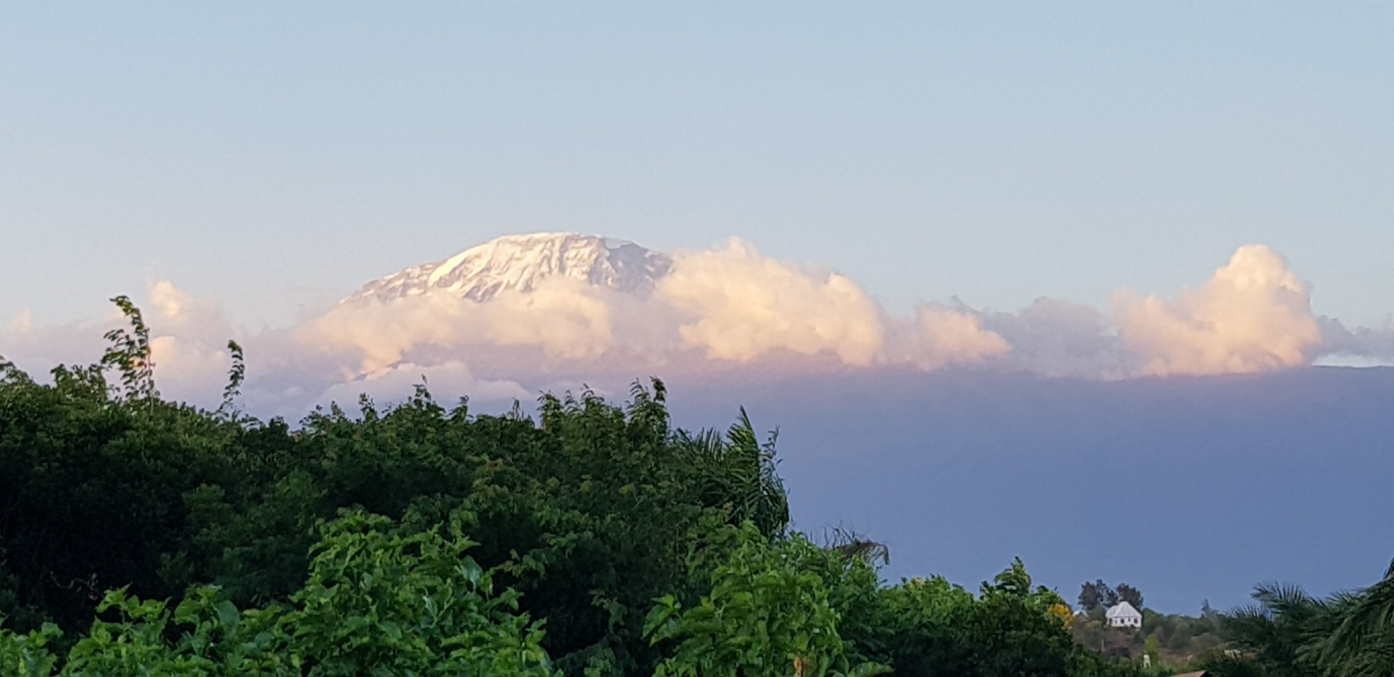 Вид на Килиманджаро