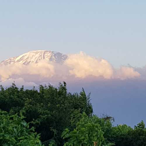 Вид на Килиманджаро