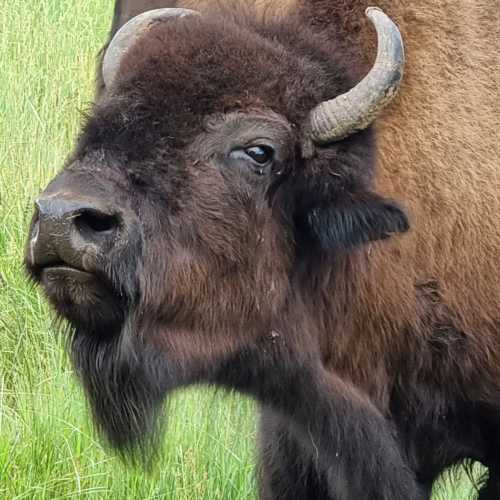 Усть-Буотама, Russia