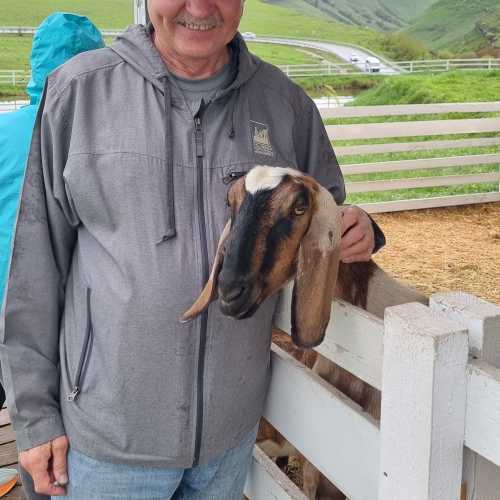 парк альпак, Russia