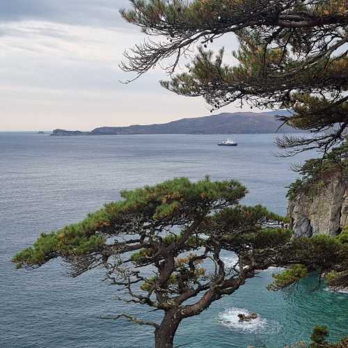 большой пелис, Россия