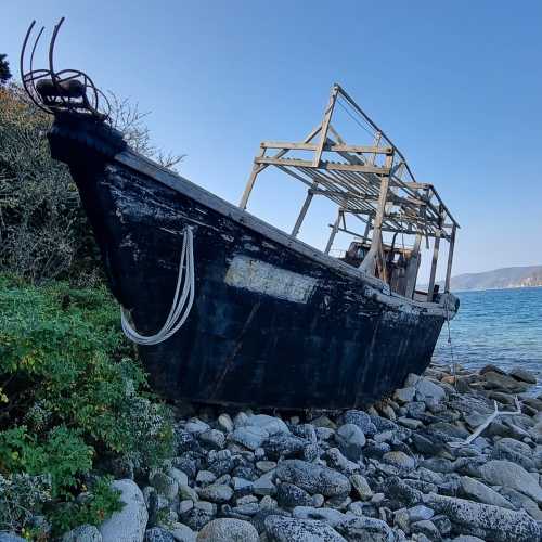 остров Петрова, Russia