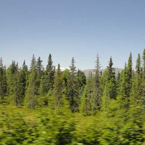 Денали, United States