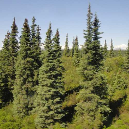 Денали, United States