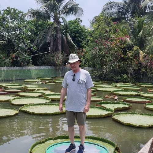 Чаудок, Вьетнам