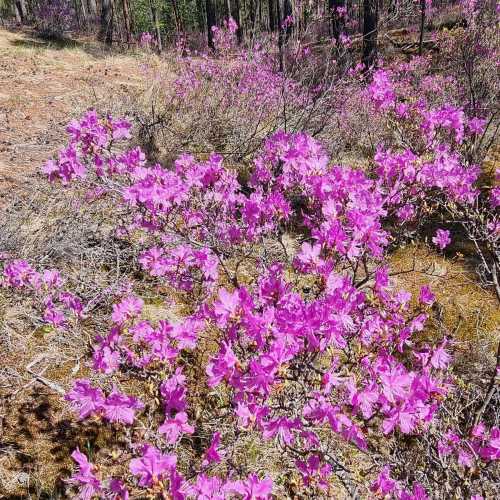 Ольхон, Россия