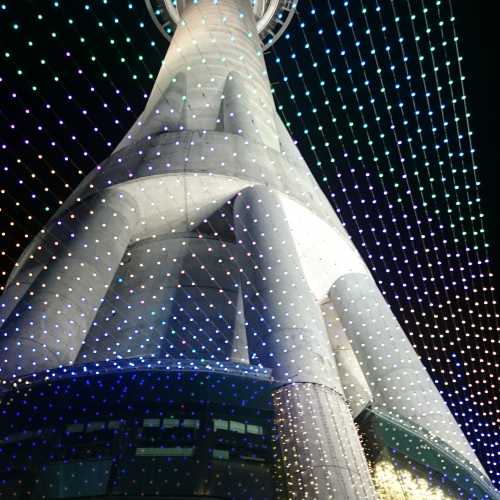 Окленд, Новая Зеландия