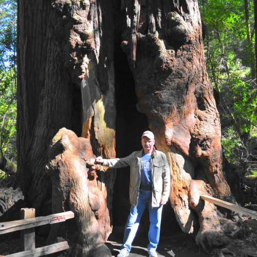 Muir Woods National Monument, United States