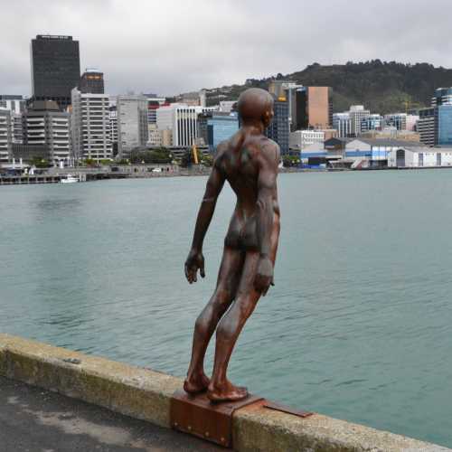 Акароа, Новая Зеландия