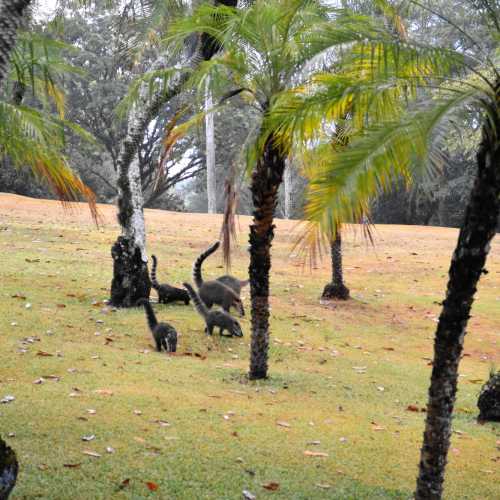 Iguazu Falls, Brazil