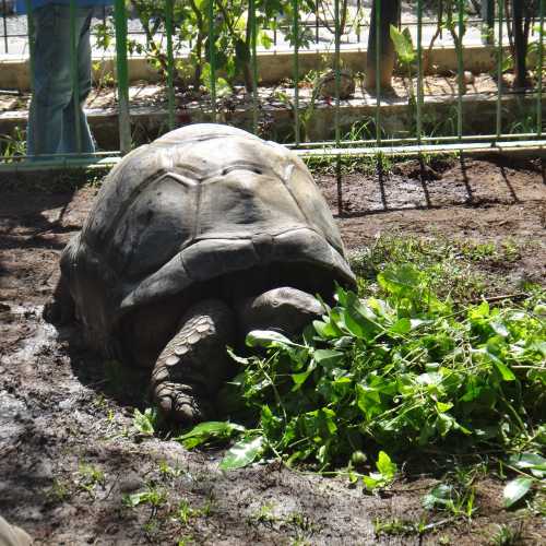 Праслин, Святая Люсия