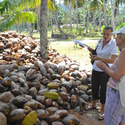 Праслин, Святая Люсия