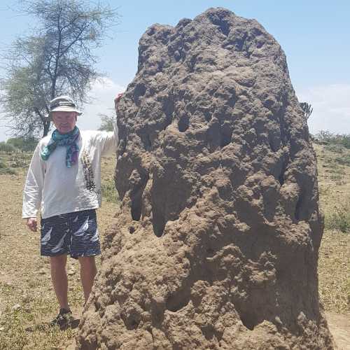 Аруша, Танзания