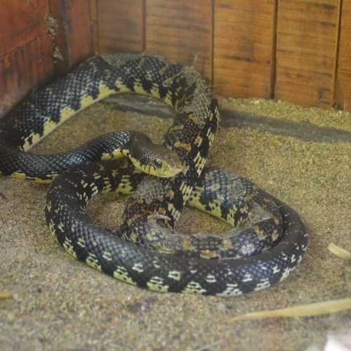 Эль-Виль, Мадагаскар