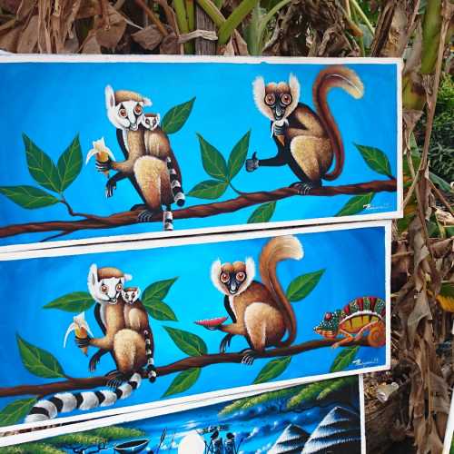 Эль-Виль, Мадагаскар