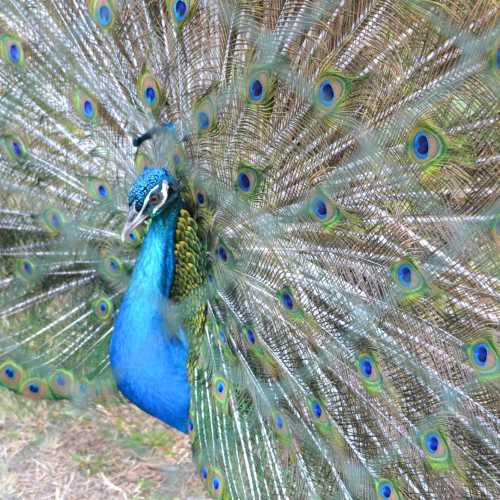 Эль-Виль, Мадагаскар