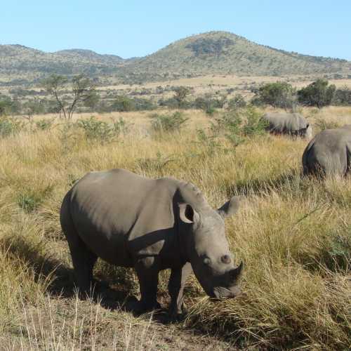 Пилансберг, ЮАР