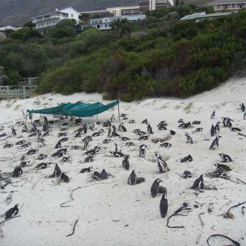 Кейптаун, ЮАР