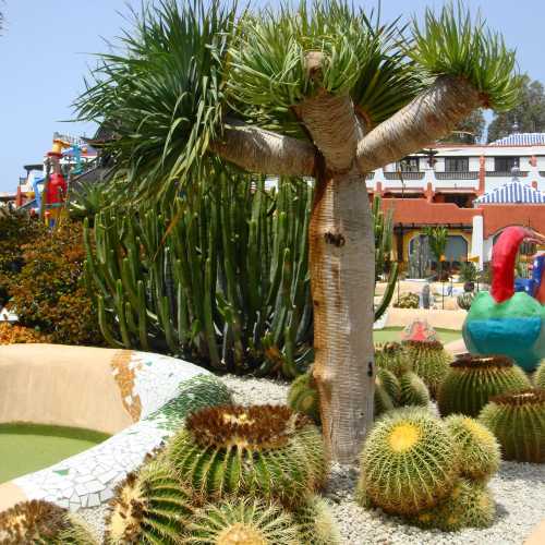 Санта-Крус-де-Тенерифе, Испания