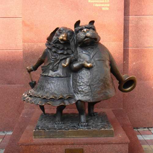 Краснодар, Россия