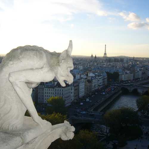 Notre-Dame de Paris, Франция