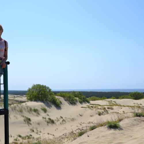 Куршская коса, Россия