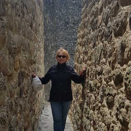 Эрзи, Россия