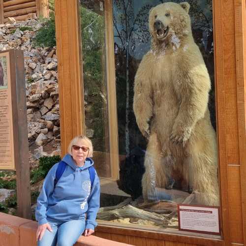 Glenwood Springs, United States