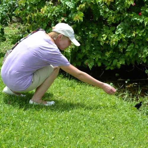 Эверглейдс, США