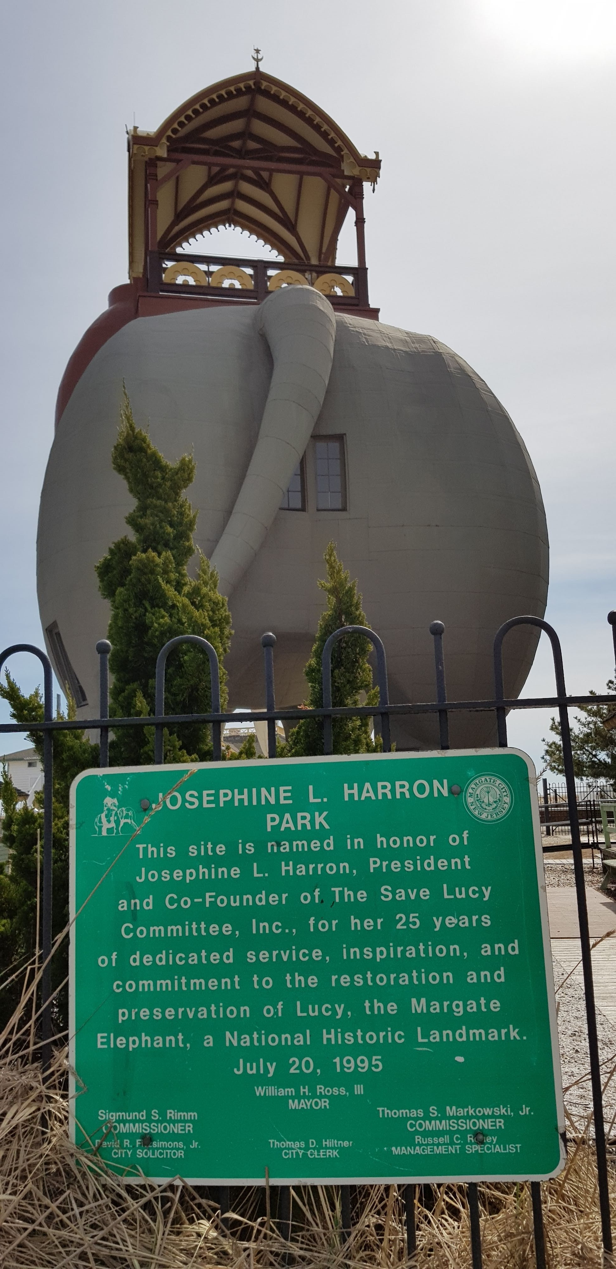 слониха Люси, United States