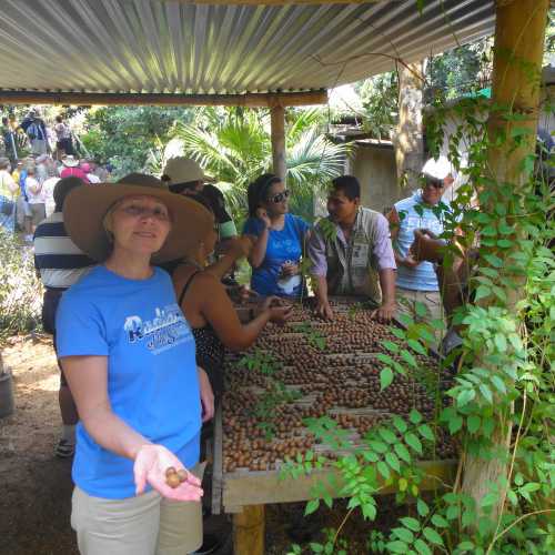 Пунтаренас, Коста-Рика