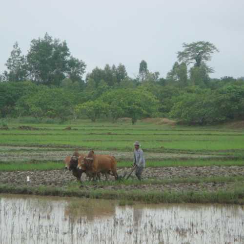 Далат, Вьетнам