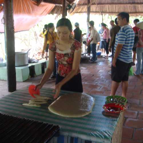 Дельта Меконга, Вьетнам