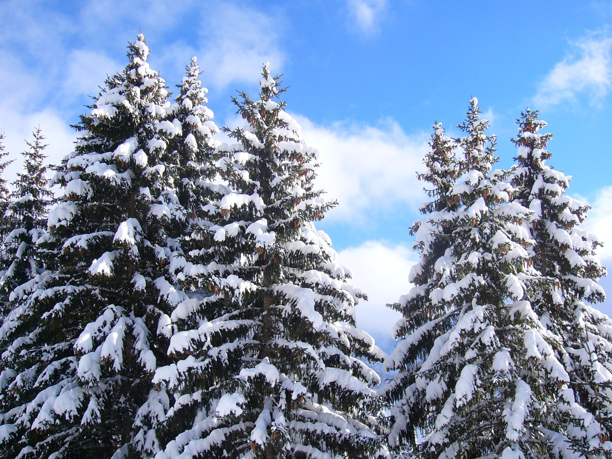 Дьяблере, Швейцария