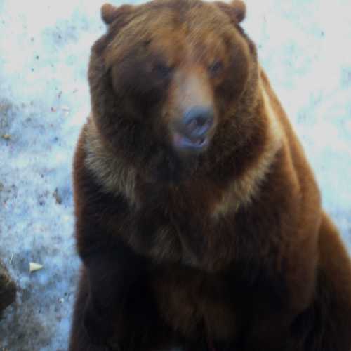 Берн, Швейцария