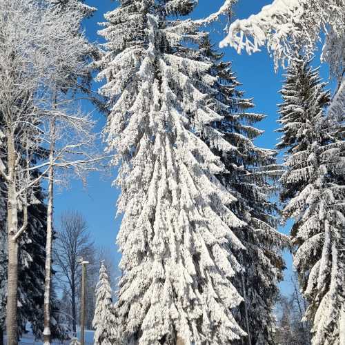 коробицыно, Russia