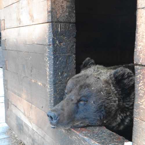 Кибик-Кордонское месторождение мрамора, Russia