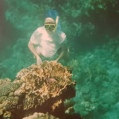 Шарм-эль-Шейх, Египет