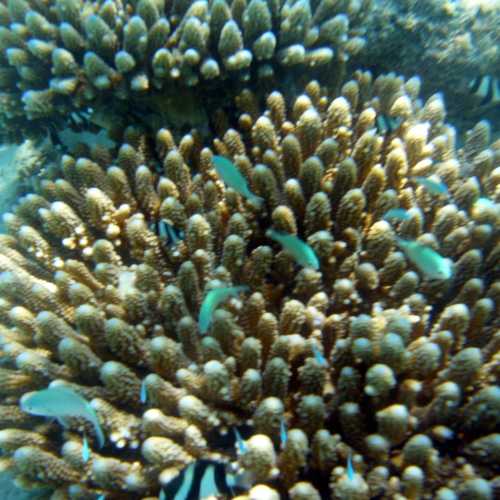 island Rannalhi, Мальдивские о-ва